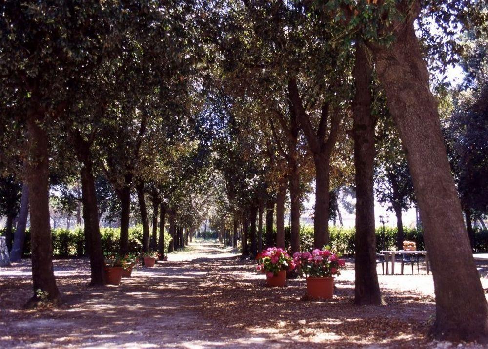 Razza Del Casalone Casa de hóspedes Grosseto Exterior foto